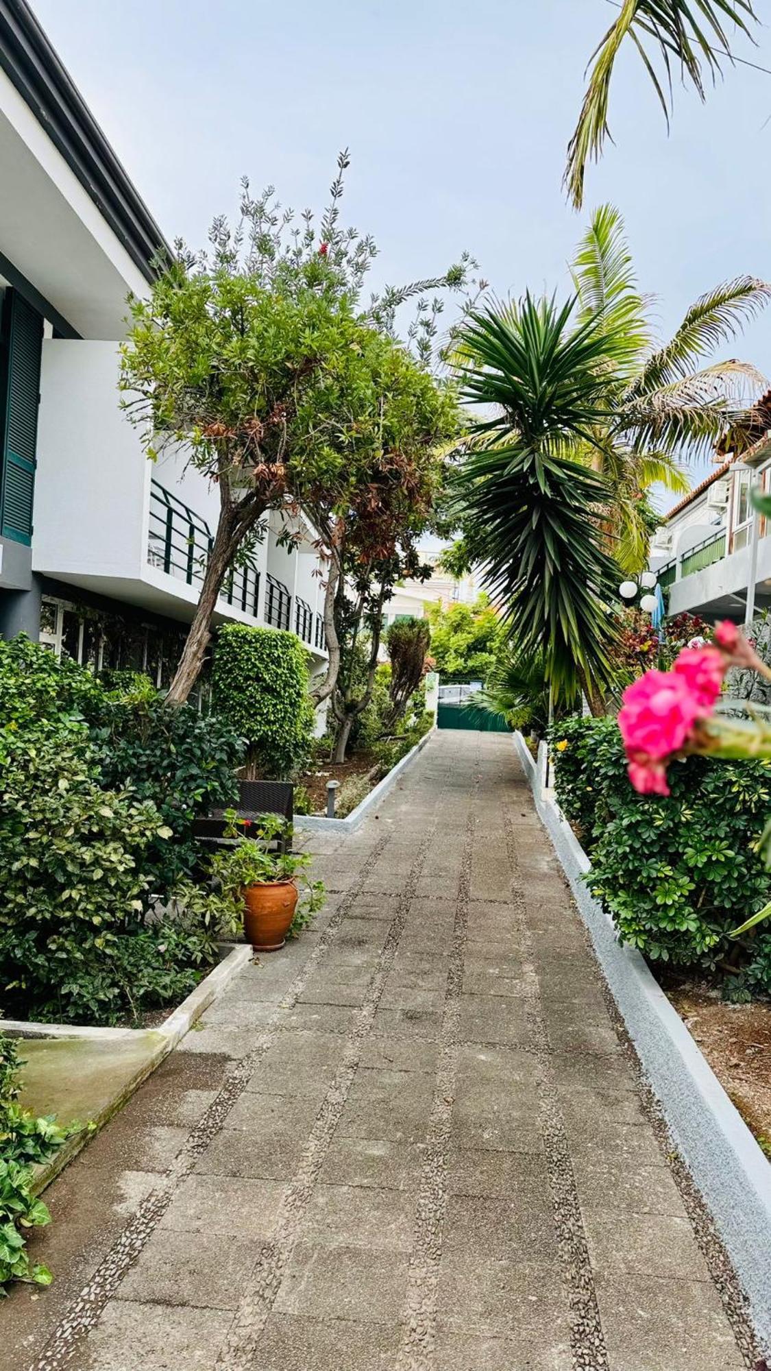 Monte Verde Funchal  Esterno foto