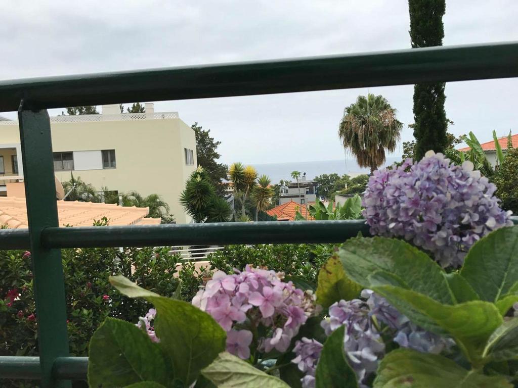 Monte Verde Funchal  Esterno foto